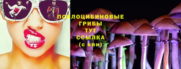 трава Новодвинск